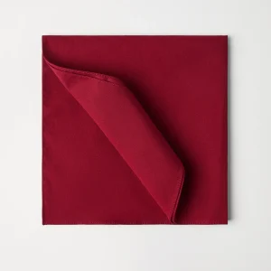 Tuxedo pocket square