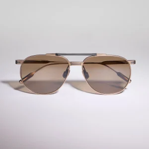 Aviator titanium sunglasses